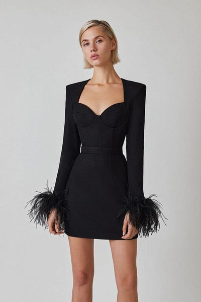 Lucienne Feather-Embellished Bodycon Mini Dress-Black